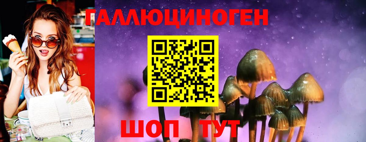 Галлюциногенные грибы Psilocybe Ревда
