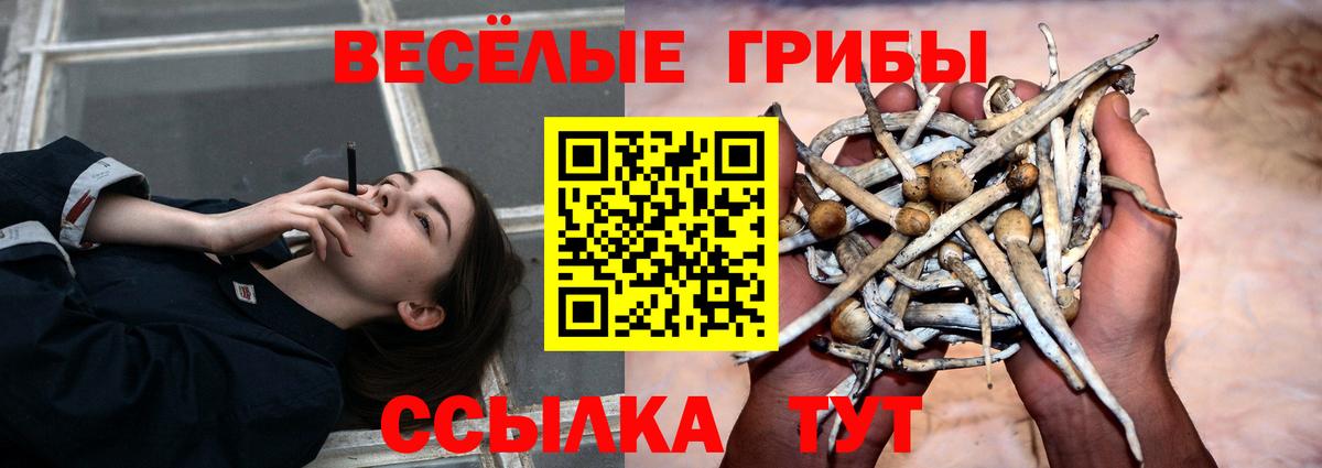 Ревда  Галлюциногенные грибы ЛСД  Вход с VPN 